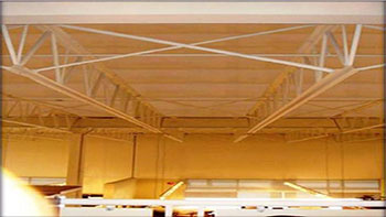 Long Span Joists